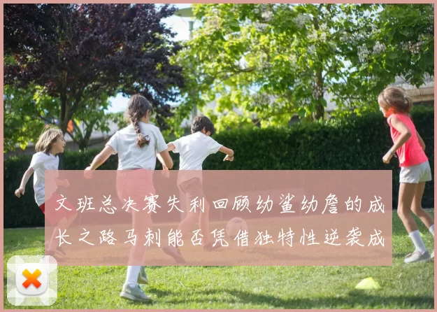 文班总决赛失利回顾幼鲨幼詹的成长之路马刺能否凭借独特性逆袭成功