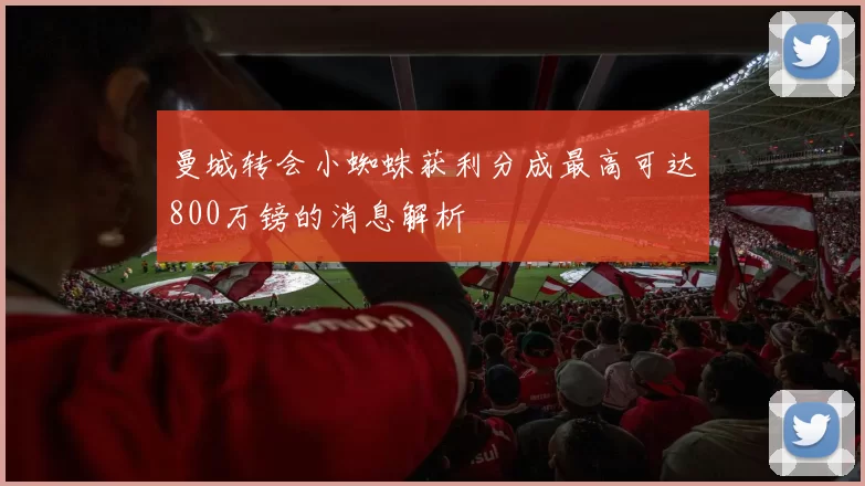 曼城转会小蜘蛛获利分成最高可达800万镑的消息解析